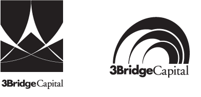 3Bridge Capital